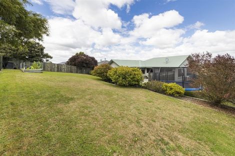 Photo of property in 62 Fraser Drive, Feilding, 4702
