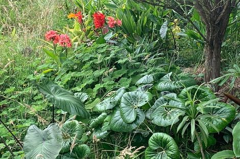 Photo of property in 1665 Matapouri Road, Matapouri, Whangarei, 0173