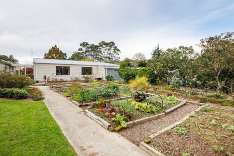 Photo of property in 82 Millricks Line, Linton, Palmerston North, 4472