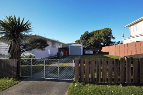 Photo of property in 53 Morgan Crescent, Levin, 5510