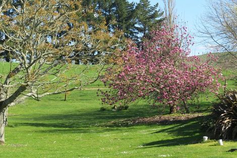 Photo of property in 165 Paewhenua Road, Maihiihi, Otorohanga, 3972