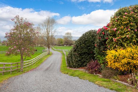 Photo of property in 115 Gunn Road, Matamata, 3472