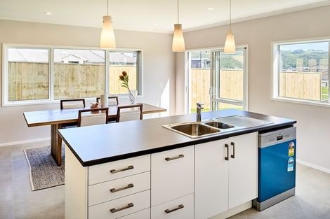 Photo of property in 113 Queen Charlotte Drive, Aotea, Porirua, 5024