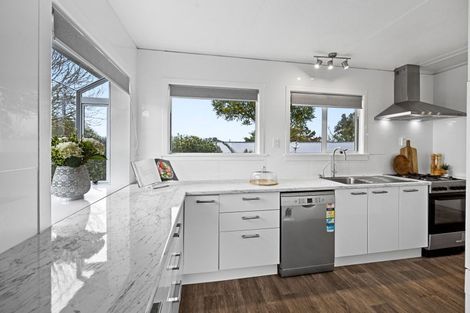 Photo of property in 20 Stuart Place, Blagdon, New Plymouth, 4310