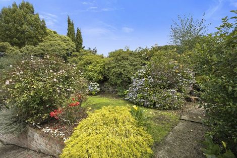 Photo of property in 38 Brunel Street, Mornington, Dunedin, 9011