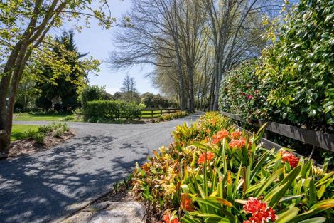 Photo of property in 53 Poplar Lane, Matangi, Hamilton, 3284