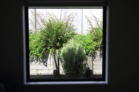 Photo of property in 66b Tynan Street, Te Puke, 3119