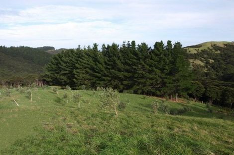 Photo of property in 379a Cowes Bay Road, Waiheke Island, 1971