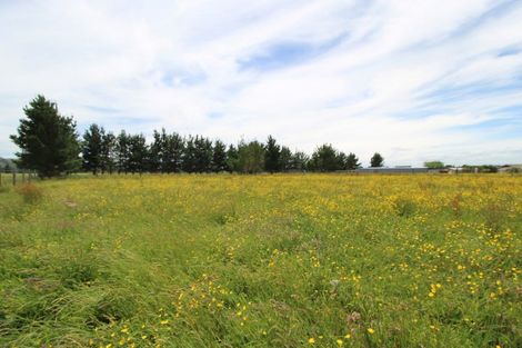 Photo of property in 74 Ormond Road, Woodville, 4999