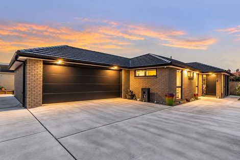 Photo of property in 30a Graham Street, Levin, 5510