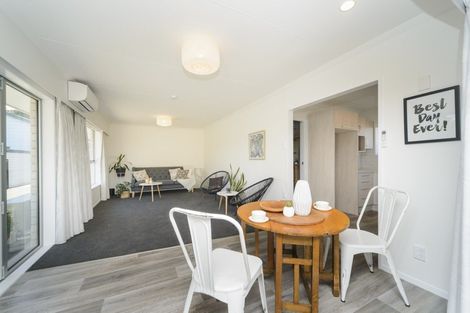 Photo of property in 176b Ruahine Street, Roslyn, Palmerston North, 4414