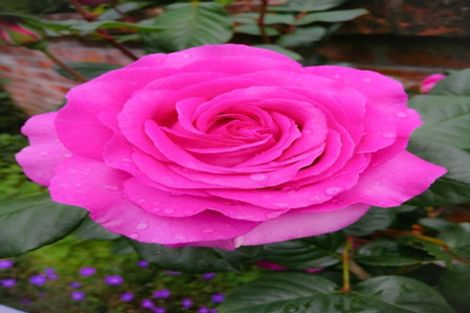 Photo of property in 23 Lee Road, Burbush, Hamilton, 3289