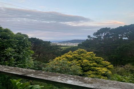 Photo of property in 43 Mortimer Terrace, Brooklyn, Wellington, 6021