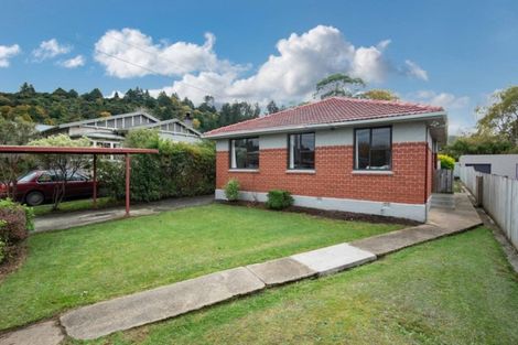 Photo of property in 10 Saint Albans Street, Bradford, Dunedin, 9011