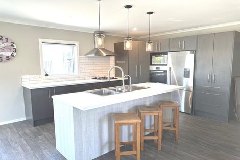 Photo of property in 20 Missy Crescent, Mount Pisa, Cromwell, 9383