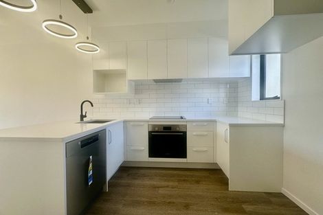 Photo of property in 49 Kiato Lane, Flat Bush, Auckland, 2019