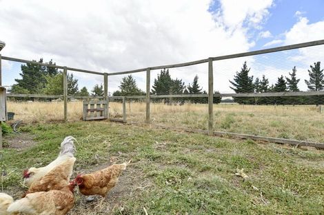 Photo of property in 135 Bentleys Road, Hawarden, 7385