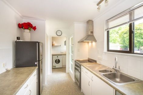 Photo of property in 165 Salisbury Street, Ashhurst, 4810