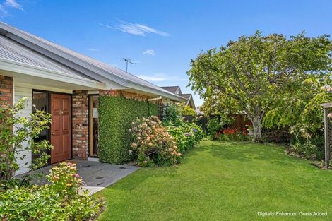 Photo of property in 147 Redwood Street, Redwoodtown, Blenheim, 7201