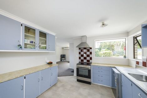 Photo of property in 155a Ruahine Street, Roslyn, Palmerston North, 4414