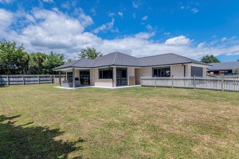 Photo of property in 34 Weld Street, Levin, 5510