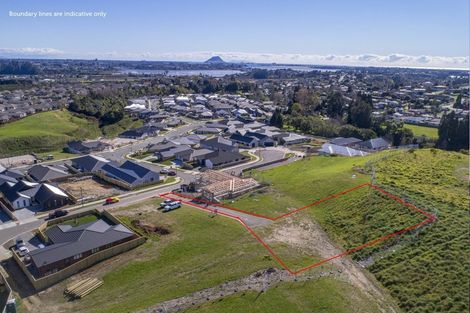 Photo of property in 42 Pinkerton Place, Ohauiti, Tauranga, 3112