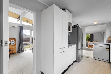 Photo of property in 19 Alexander Street, Awapuni, Palmerston North, 4412