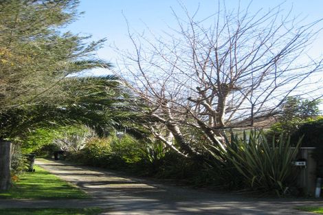 Photo of property in 85a Queenwood Road, Levin, 5510