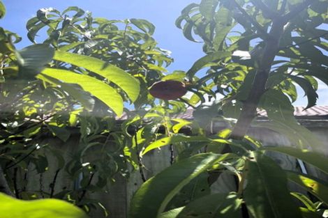 Photo of property in 10 Braestar Court, Henderson, Auckland, 0612