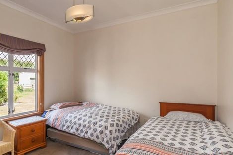 Photo of property in 290 Heatherlea Road East, Levin, 5571