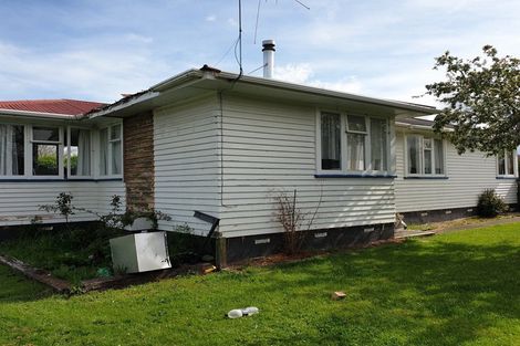 Photo of property in 24 Hawkswood Street, Waiau, 7332
