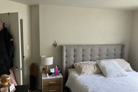 Photo of property in 11 Douglas Street, Mount Cook, Wellington, 6021