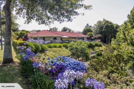 Photo of property in 86 Rowesdale Drive, Ohauiti, Tauranga, 3112