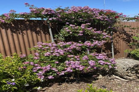 Photo of property in 100 Centennial Avenue, Waitara, 4320