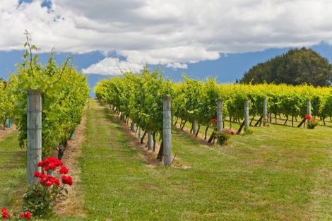 Photo of property in 20 Len Ireland Drive, Kumeu, 0810