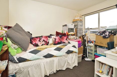 Photo of property in 384 Kahikatea Drive, Dinsdale, Hamilton, 3204