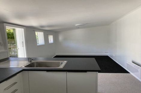 Photo of property in 43 Honiana Te Puni Street, Aro Valley, Wellington, 6021