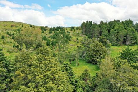 Photo of property in 656 Bickerstaffe Road, Maungaturoto, 0587