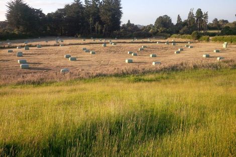 Photo of property in 114 Dudley Road Upper, Inglewood, 4386