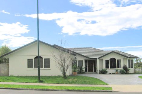 Photo of property in 42 Rowesdale Drive, Ohauiti, Tauranga, 3112