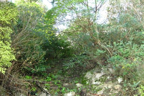 Photo of property in 38 Bay Road, Purakaunui, Port Chalmers, 9081