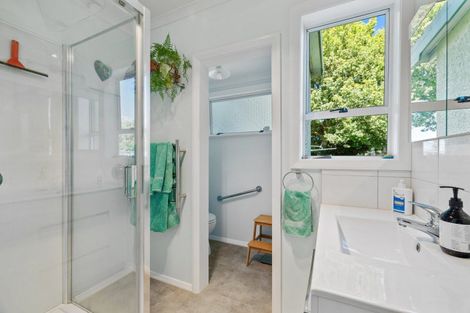 Photo of property in 223 Tutaekara Road, Pahiatua, 4987