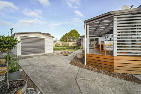 Photo of property in 3 James Cook Street, Havelock North, 4130