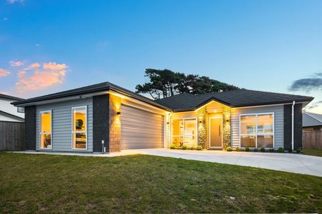 Photo of property in 65 Queen Charlotte Drive, Aotea, Porirua, 5024