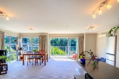 Photo of property in 36 Sutherland Street, Dunedin Central, Dunedin, 9016