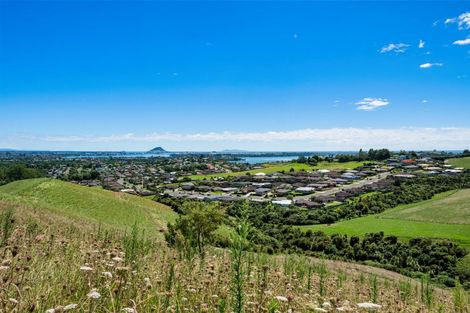 Photo of property in 359a Kaitemako Road, Welcome Bay, Tauranga, 3175