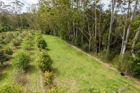 Photo of property in 89 Conifer Lane, Kerikeri, 0294