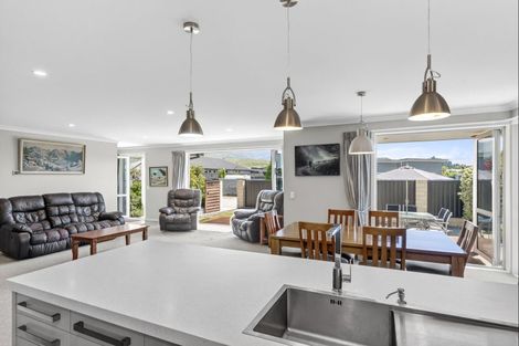 Photo of property in 8 Excelsior Place, Cromwell, 9310