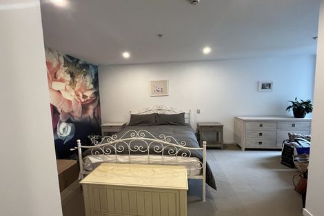 Photo of property in Republic Apartments, 3c/11 Tennyson Street, Te Aro, Wellington, 6011