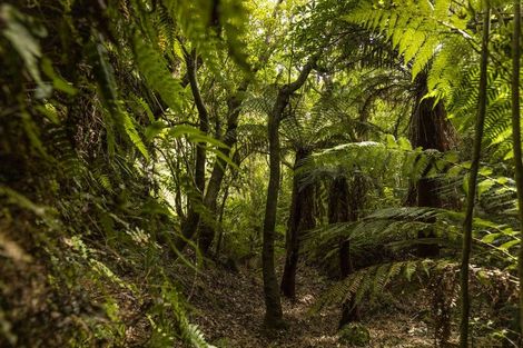 Photo of property in 920 Wakamarina Road, Wakamarina, Havelock, 7178